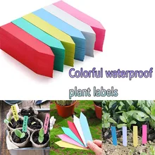 100 Pcs Gardening Labels Succulent Plant Insert Ground Labels Pot Plant Markers Seed Labels Plastic Waterproof Plant Labels