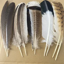 10Pcs/Lot Real Natural Eagle Feathers for Decoration Crafts Turkey Pheasant Bird Owl Feather Decor Plumes Accessories Carnival