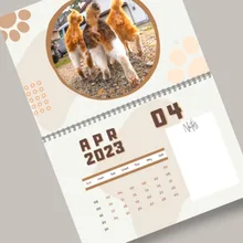 12 Different Funny  Images of Adorable Cat Buttholes Balls Calendar Gag Gift 2023 Cat Balls Calendar For Friends New Year Gifts