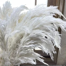 20pcs Fluffy Natural Botanical Bouquet Wedding Decorative Dried Flowers Real Large Dried Pampas Grass Grass Flowers Boho Vases