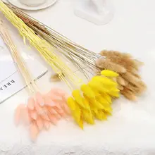 30pcs Real Natural Floral Dried Flowers Bunny Rabbit Tail Grass Mixed Bouquet Colorful Lagurus Ovatus for Photo Props Decoration