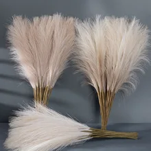 50cm Artificial Flower Reed Pampas Grass INS Wind Simulation Flower Home Decoration Wedding Decor Flower Decoration