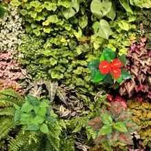 Beautiful Simulation Plant  Non-fading Lightweight Fake Plant  No Withering Artificial Plant