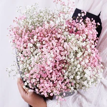 Dried Preserved Flowers Natural Fresh Gypsophila Paniculata Baby's Breath Flower Bouquets Gift for Wedding Decoration Home Decor