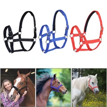 Horse Head Collar Adjustable Riding Safety Halter Belts Equestrian Equipment Riding Racing Equipment Training Rope