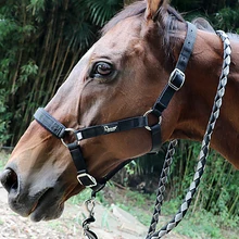 Horse Head Dragon Set Bridle Comfortable Wear-resistant Textile Full Set Of Horse Rope Harness Equestrian Supplies