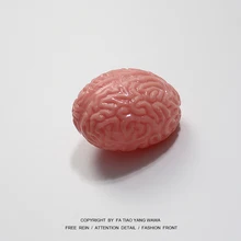 If you're bored  play with your head! Brain water balloon toy display