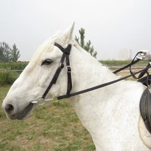 Removable Snaffle Nylon Webbing Horse Riding Equipment Horse Bridle Horse Rein Headstall Thickened Halter Equestrian Accessories