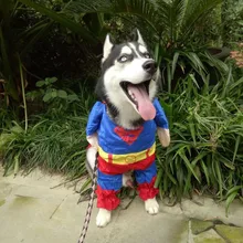 Wholesale Dacron Funny Cosplay Pet Clothes Cat and Dog Custom Cute Apparel Leisure Big Size Comfort New Arrival Holiday