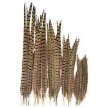 Wholesale Natural Ringneck Pheasant Feathers for Crafts 10-75cm Plumes Feather DIY Party Wedding Carnival Accessories Decoration